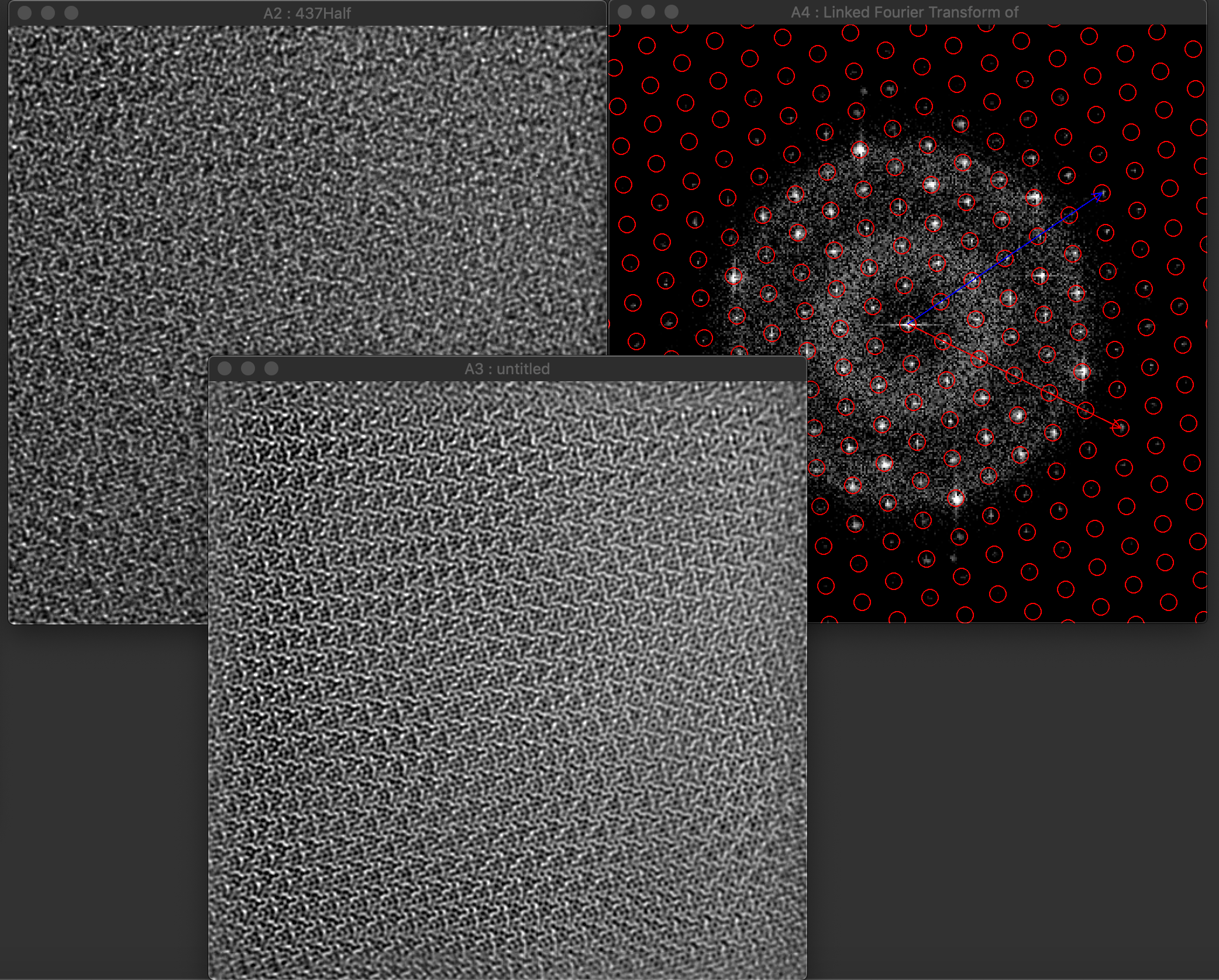 Slide 5